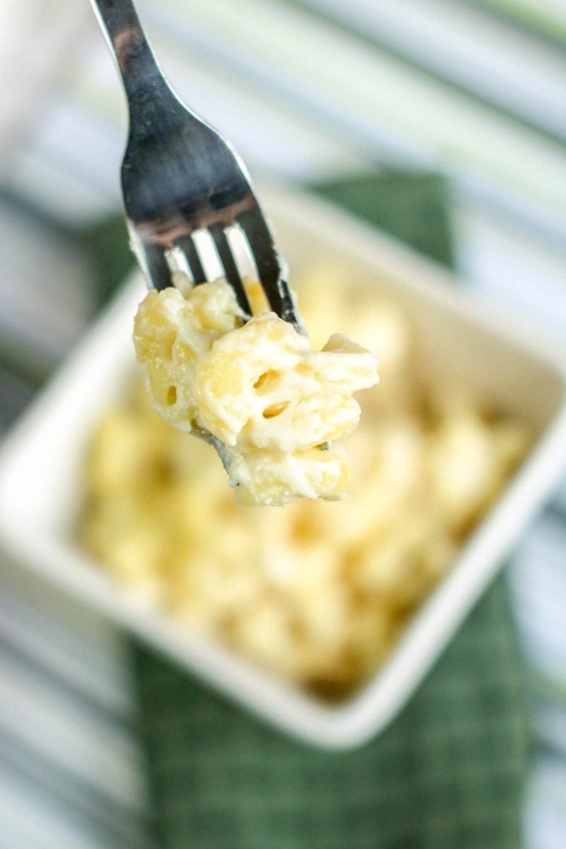 Fork with macaroni and cheese