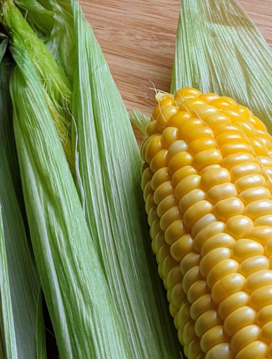 Easy Microwave Corn on the Cob Shuck on and Shuck Off Instructions