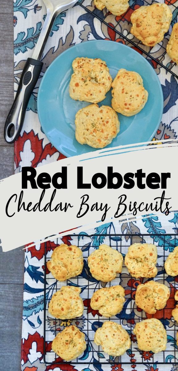 Do you love Red Lobster Cheddar Bay Biscuits? Than you will love this copycat recipe that tastes just like you are eating them in the restaurant! These easy drop biscuits are a quick and easy, warm and cheesy addition to any meal. via @simplysidedishes89
