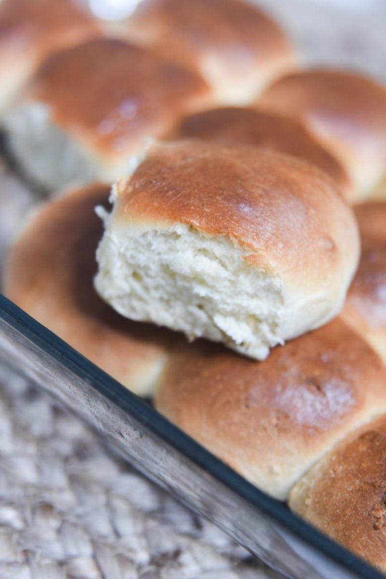 yeast dinner roll