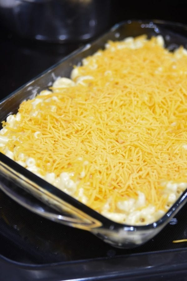 noodles with cheese on top