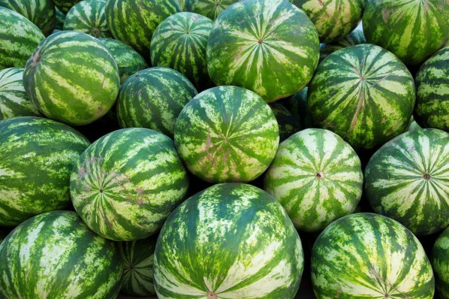 How to Pick a Good Watermelon: Tips & Tricks