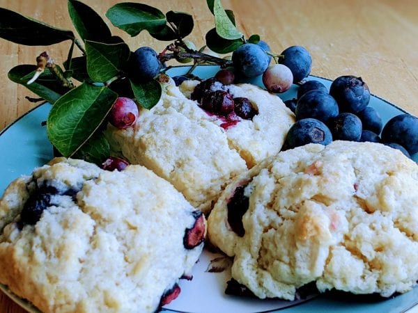 easy blueberry biscuits