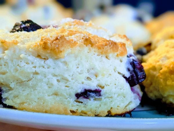 fluffy blueberry biscuits