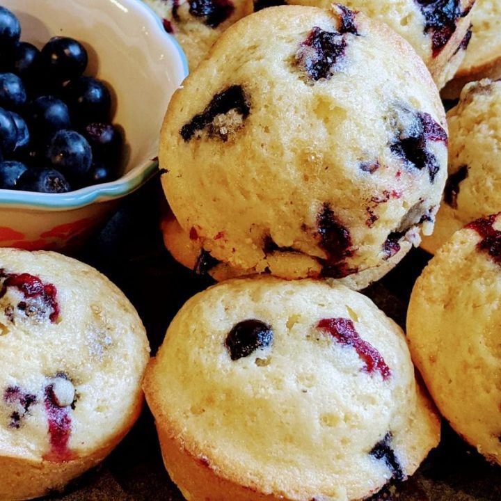 blueberry muffins without dairy
