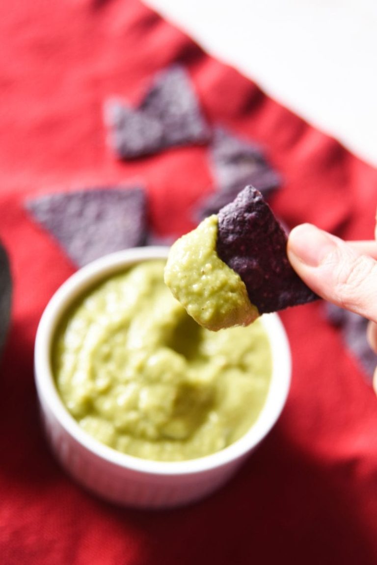 Easy Guacamole Salsa Recipe – Only 6 Ingredients!