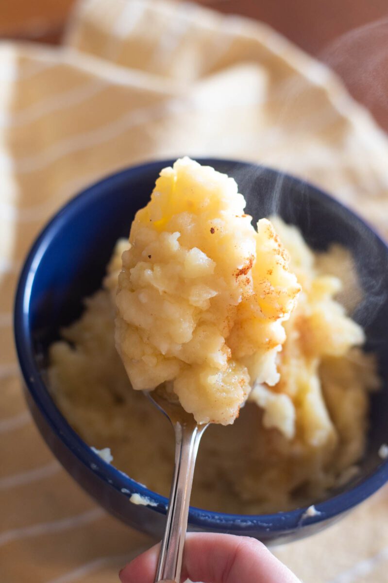spoonful of garlic mashed potatoes